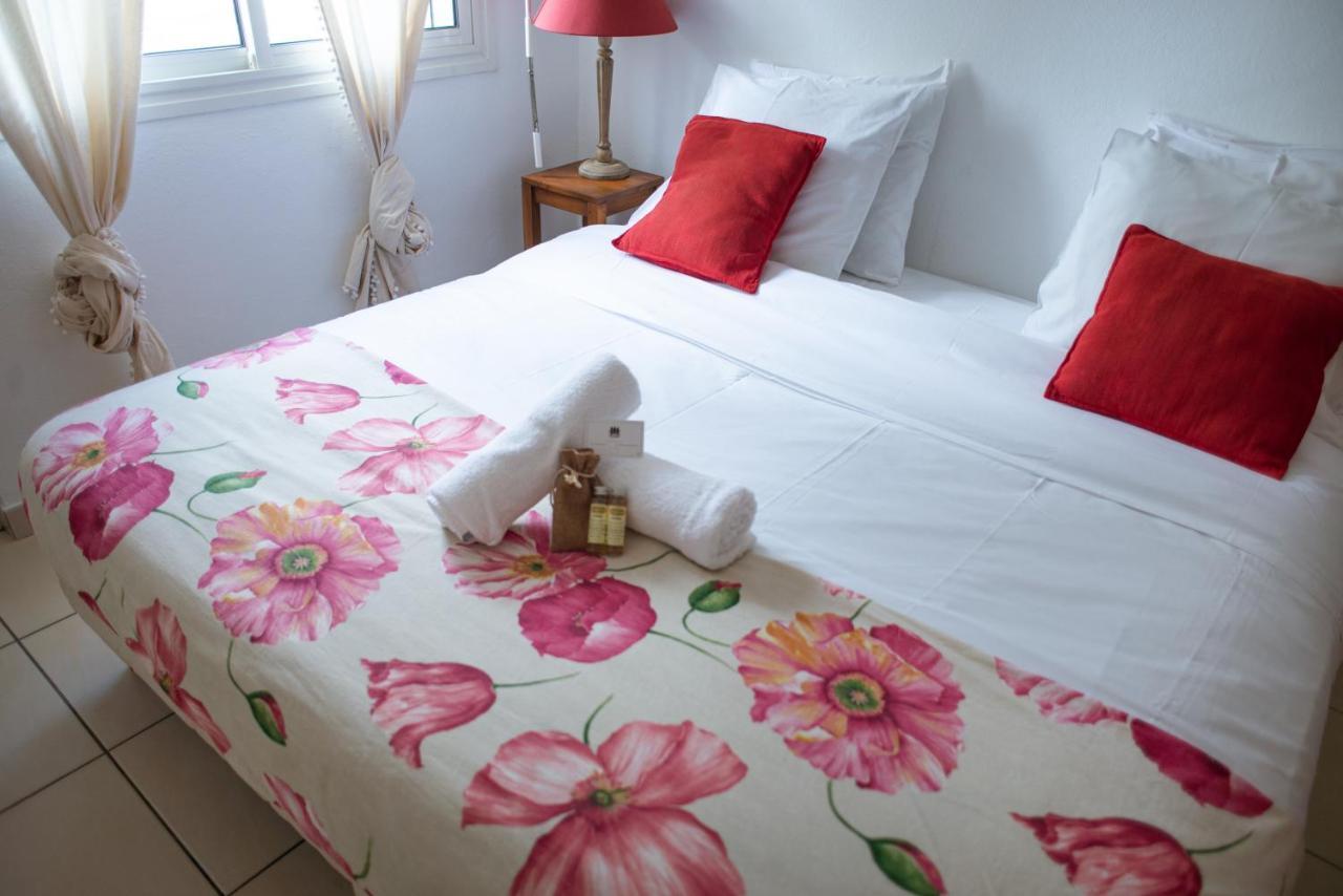 L'Aviateur T2 Centre Ville Jardin L'Etat 생드니 외부 사진